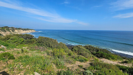 a beautiful spring landscape at Point Dume beach with blue ocean water, lush green trees and...