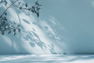 simplicity, presentation, minimalistic, light blue background, tree shadow, product display, serene, elegant