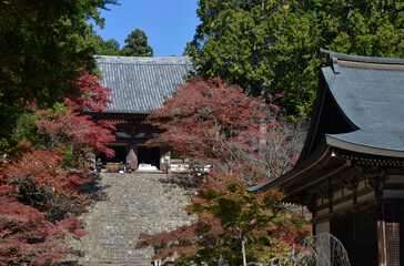 秋の神護寺　金堂と五大堂　京都市右京区高雄