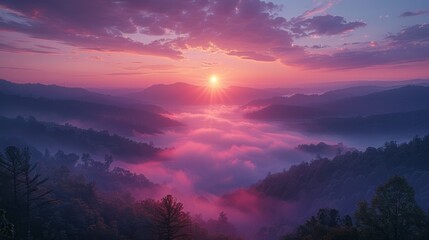 Sun sets over foggy valley with trees, creating purple afterglow in sky