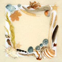 Natural nature object collage background border design with feathers, driftwood, sea shells, flora and grain. Detail study on hemp paper background with white frame.