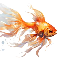 Fotobehang goldfish isolated on white background © Matthew
