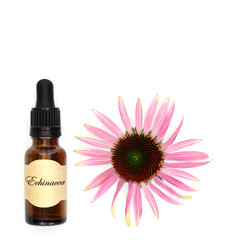 Natural echinacea alternative herbal medicine tincture bottle. Used to treat coughs colds and bronchitis with flower head on white background.  - 765232966