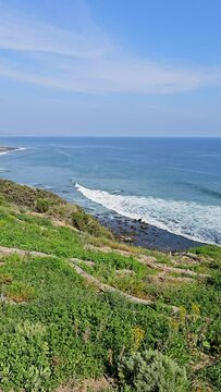 panning footage of Point Dume Natural Preserve with blue ocean water, lush green trees and plants, yellow flowers, blue sky and clouds in Malibu California USA