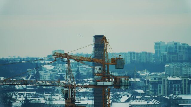 A bird soaring in the chilly sky, a cityscape shows construction cranes towering over snow-dusted buildings.