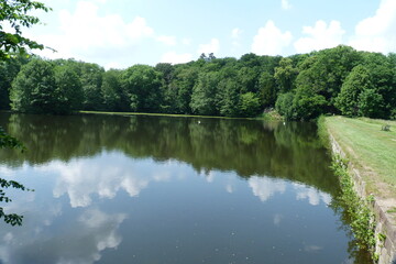 Fototapeta na wymiar Teich im Schlosspark von Ballenstedt