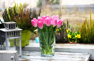 Beautiful pink tulips in the vase. Spring holiday celebration