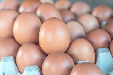 Close up of fresh chicken egg with selective focus