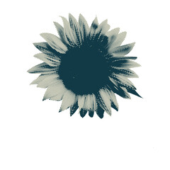 Sunflower halftone 