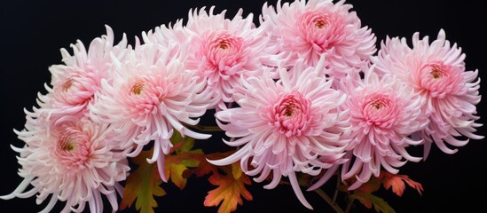 There are numerous pink flowers arranged in a vase as a beautiful floral display