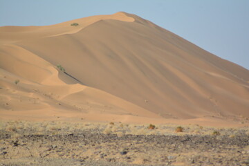 Fototapeta na wymiar Golden Sand Dune . Desert Pakistan
