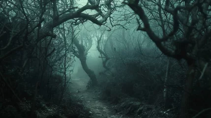 Foto op Plexiglas A dark and hazy forest with branches and vines obscuring the path symbolizes the struggle of facing unknown challenges in diminished visibility. © Justlight