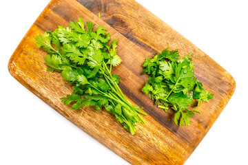 Bunch of fresh coriander leaves on wooden board.