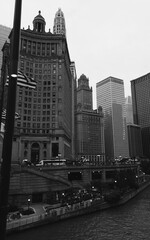 Fototapeta premium large buildings in city (chicago, illinois)