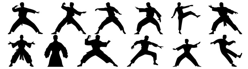 Fighter karate kung fu silhouette set vector design big pack of illustration and icon