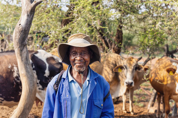 african herder with his herd of cattle grazing in the bush
