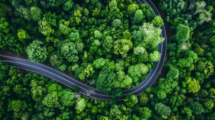 Schilderijen op glas Aerial view of a road in the middle of the forest © Alina Tymofieieva