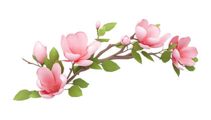 pink flower branch isolated on transparent background cutout