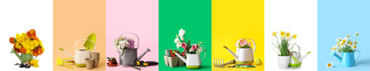 Set of plants and gardening supplies on color background