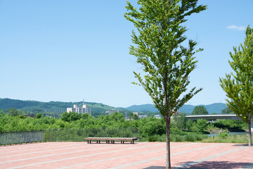 Fototapeta premium 初夏の青空 