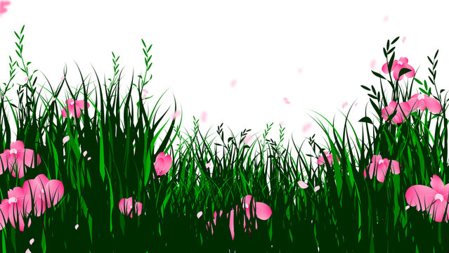spring flowers background, floral grass meadow border