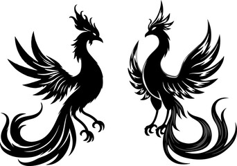 Set of chinese phoenix silhouette