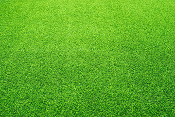 Artificial grass field meadow green. Top View Texture..