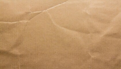 Fototapeta na wymiar brown cardboard sheet for background