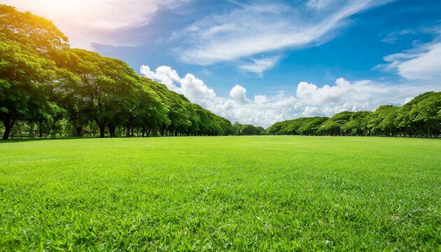 green lawn and trees background with copyspace nature background concept