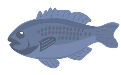 メジナのイラスト