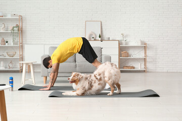 Sporty young man with Australian Shepherd dog training on mats at home