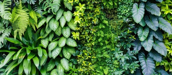 Green house walls full of plants, natural and environmentally friendly concept - Powered by Adobe