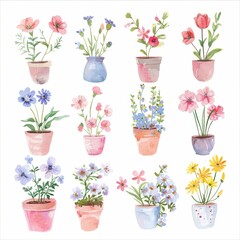 set flowers in pots soft pastel color