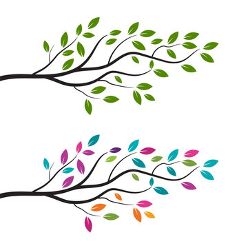 Tree branch vector ilustration design