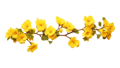 yellow autumn flower branch isolated on transparent background cutout