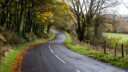 Obraz premium Road