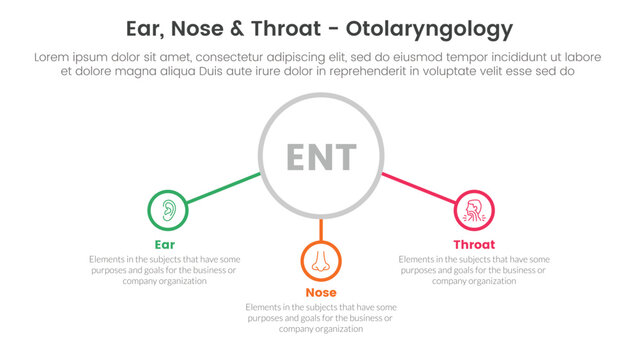 ent health treatment disease infographic 3 point stage template with big outline circle and connected line content for slide presentation