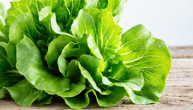 healthy fresh green leaf lettuce vegetables white background image