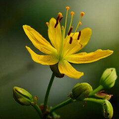 The moment you're touched by the flowers