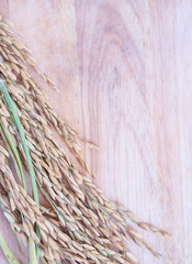 Spike on a wooden cutting board