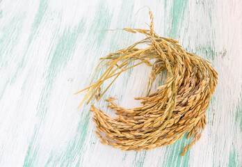 Paddy rice seed on wooden background