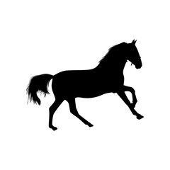 horse animal shape icon 