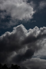 Vertical Dramatic dark storm rain clouds black sky background. Dark thunderstorm clouds rainny atmosphere. windstorm disasters climate. Dust ominous cloudscape storm disaster gloomy gray cloud sky