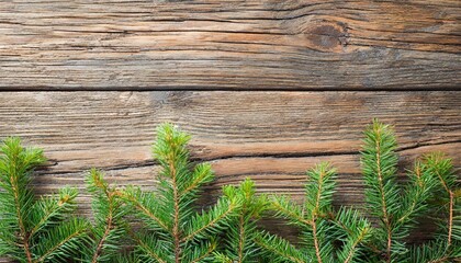 tree branch on rustic wood background