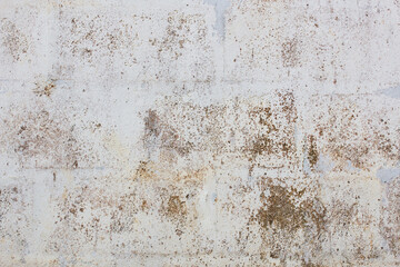 Vintage wall background of natural cement