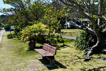 【小笠原】海岸通りの風景