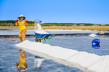 A woman is harvesting salt in Can Gio district, a suburban district of Ho Chi Minh City, Vietnam.