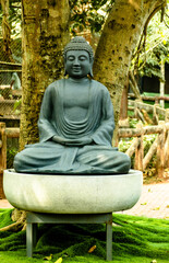 statue of buddha