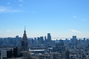 晴れた日に高層ビルの展望室から東京都内を撮影。