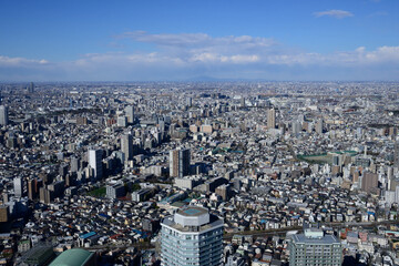 Fototapeta premium 晴れた日に高層ビルの展望室から東京都内を撮影。